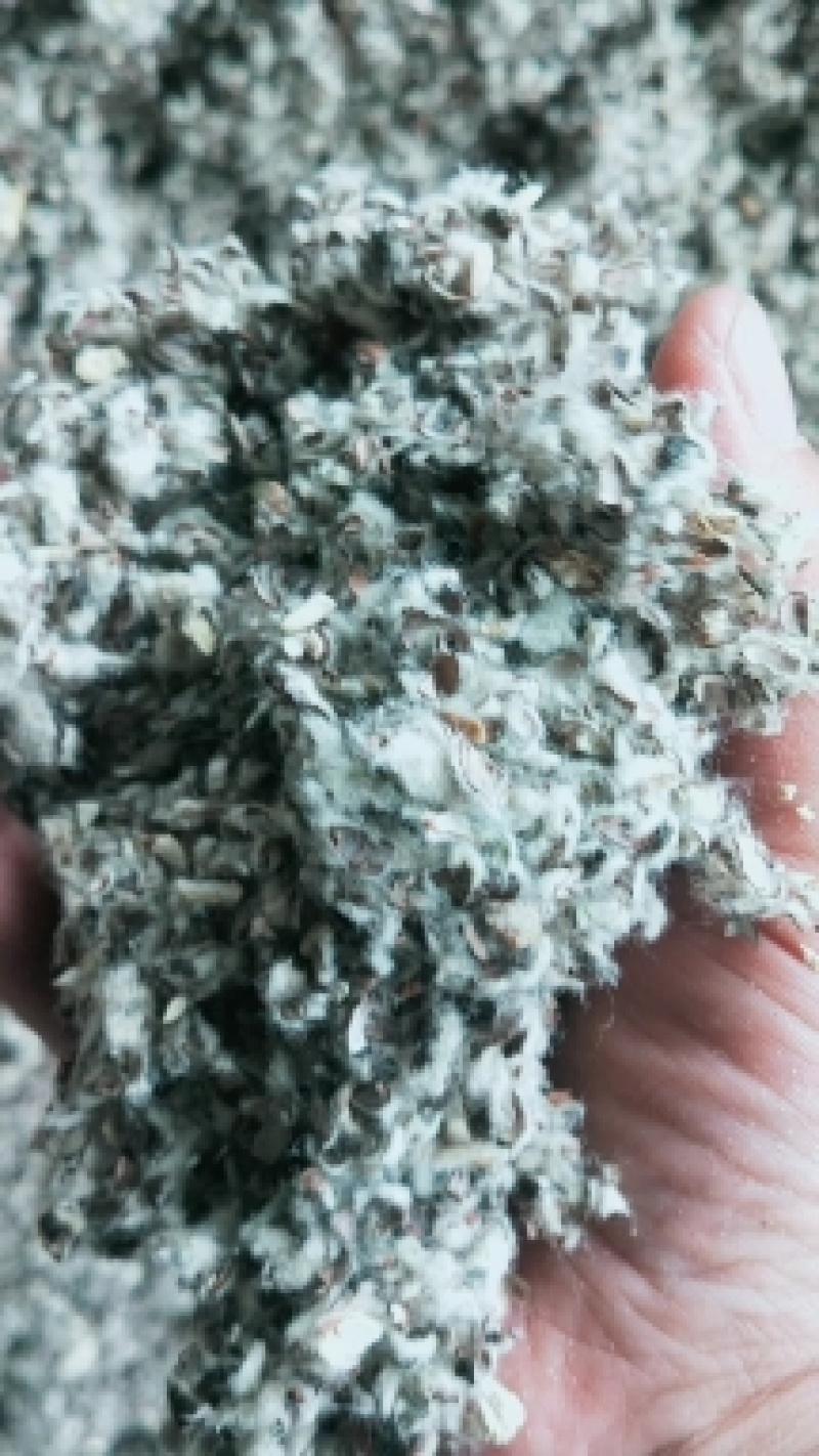 新疆小壳长绒棉子皮磨盘含油粉棉籽皮种植蘑菇茶树菇,棉籽壳
