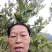 佛手嫁接苗，易管理，产量高，佛手苗批发，零售，自产自销，