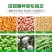玉米播种机播种器点播器机施肥手提式多功能大豆花生农用工具