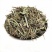 中药材马鞭草新鲜干货农家自采深山马鞭草梢50