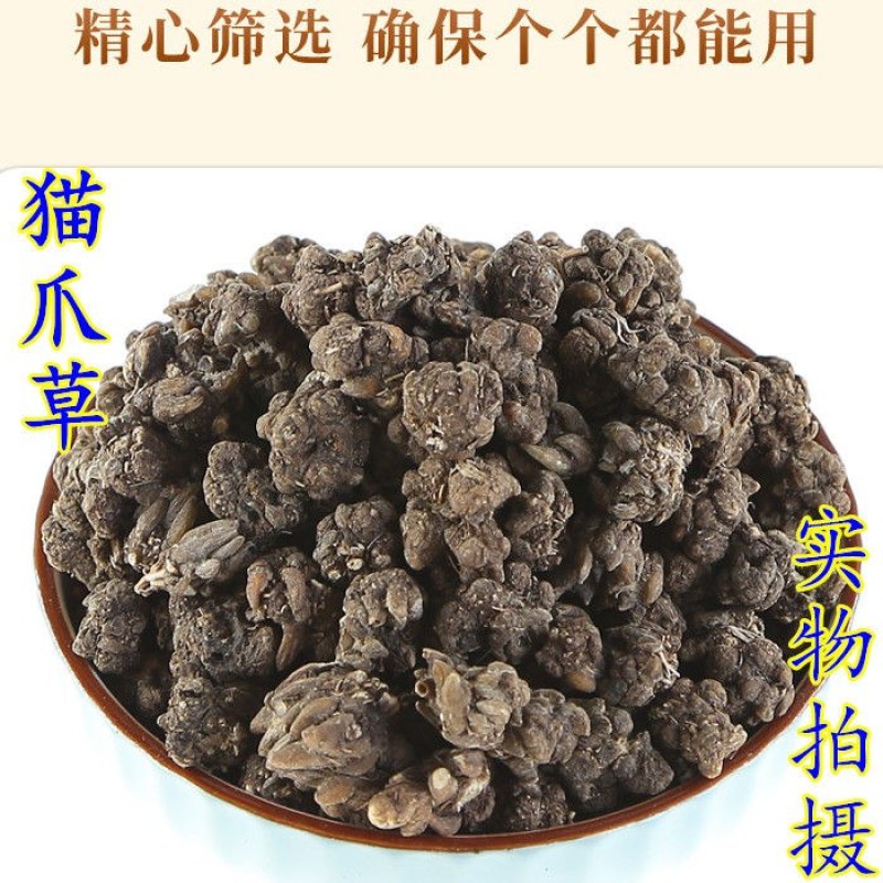 猫爪草中药猫爪草野生新鲜正品中药材猫抓草水洗猫爪草