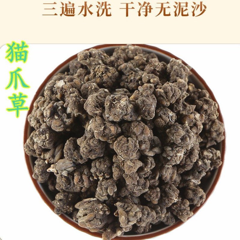 猫爪草中药猫爪草野生新鲜正品中药材猫抓草水洗猫爪草