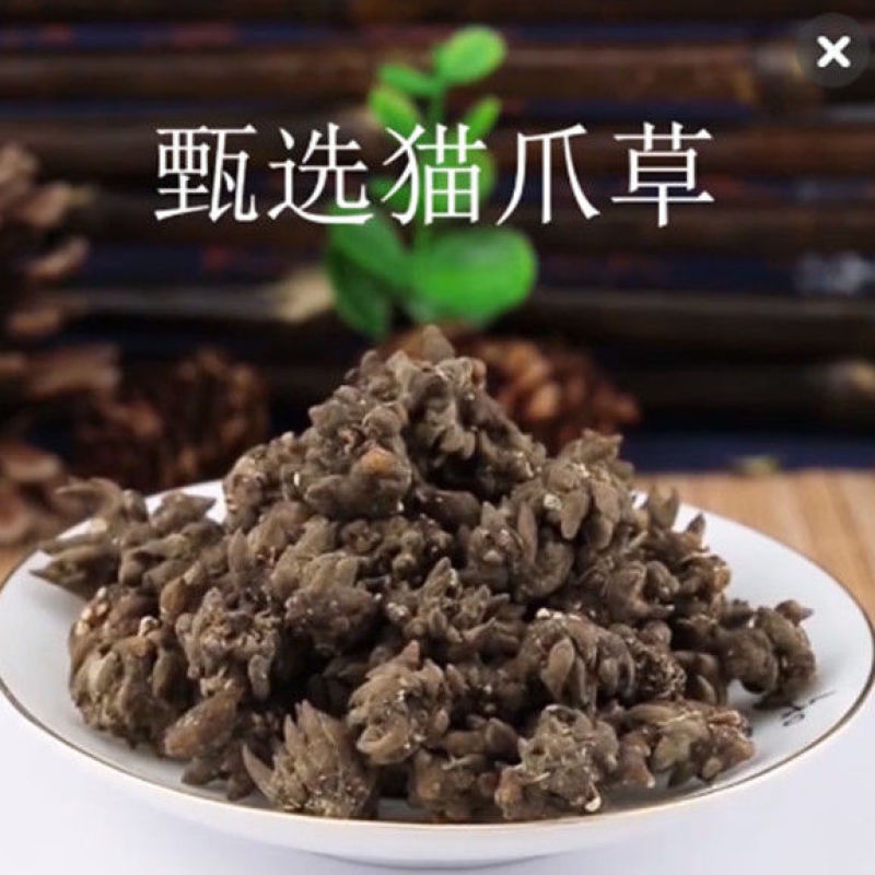 猫爪草中药猫爪草野生新鲜正品中药材猫抓草水洗猫爪草