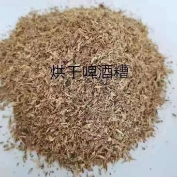 烘干啤酒糟烘干啤酒糟，现货，全国发货。