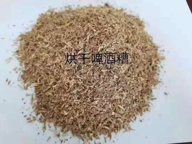 烘干啤酒糟烘干啤酒糟，现货，全国发货。