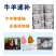 牛羊速补饲料添加剂养殖场必备让您的牛羊卖个好价钱