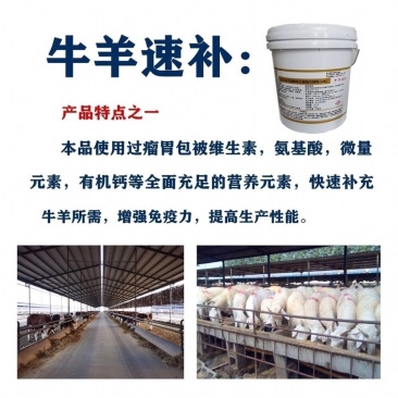 牛羊速补饲料添加剂养殖场必备让您的牛羊卖个好价钱