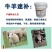 牛羊速补饲料添加剂养殖场必备让您的牛羊卖个好价钱