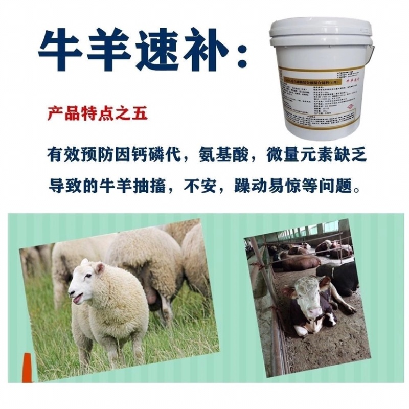 牛羊速补饲料添加剂养殖场必备让您的牛羊卖个好价钱