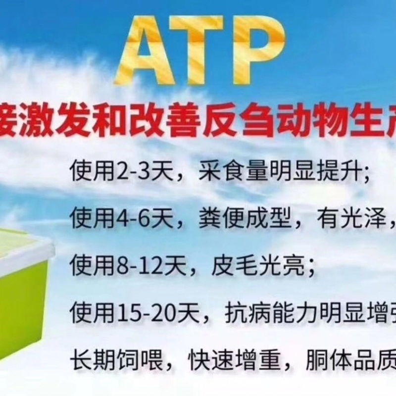 瘤胃动力牛羊饲料添加剂补剂促进肠胃消化吸收