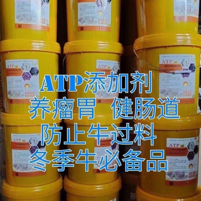 瘤胃动力牛羊饲料添加剂补剂促进肠胃消化吸收