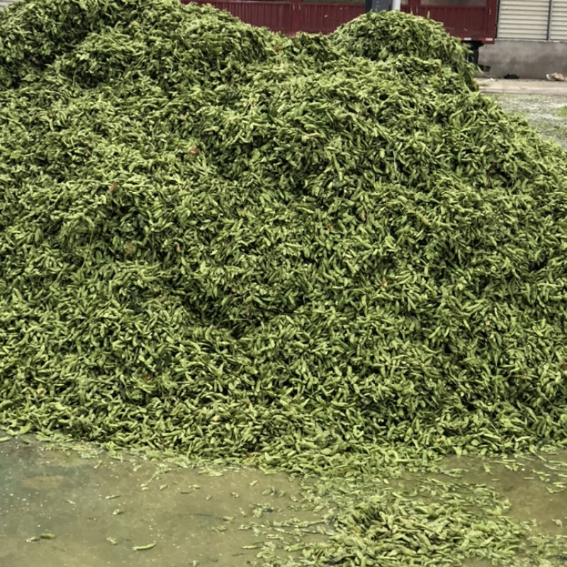 毛豆皮青豆皮（毛豆皮）高蛋白适口性好育肥好