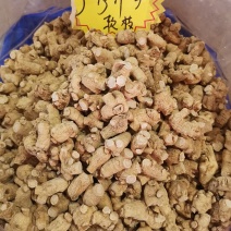 优质吉林长白山西洋参二面粒2到10厘米规格齐整