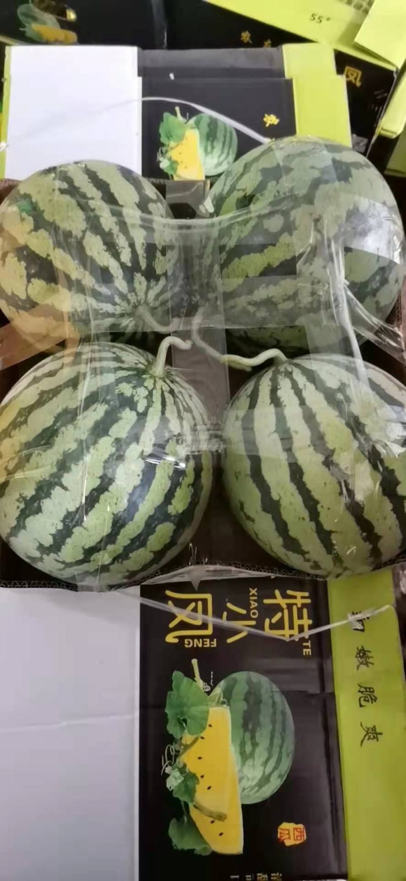 8424精品西瓜，爽口甘甜，货源充足，产地直发，欢迎选购