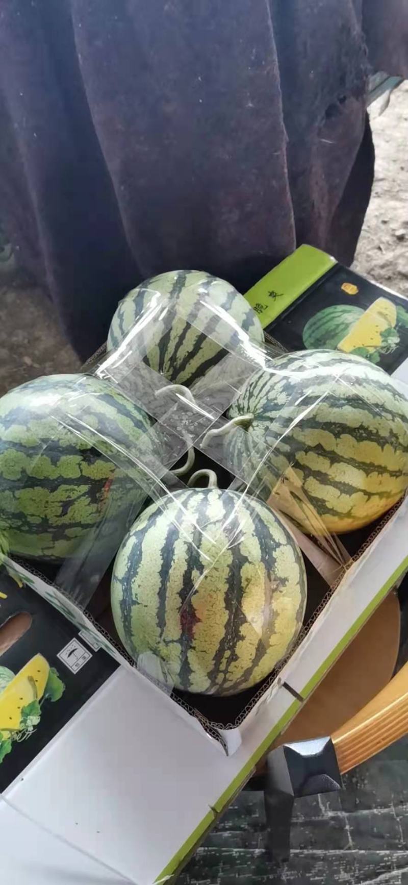 8424精品西瓜，爽口甘甜，货源充足，产地直发，欢迎选购