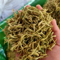 金银花头茬货新货产新产地直发大量供应