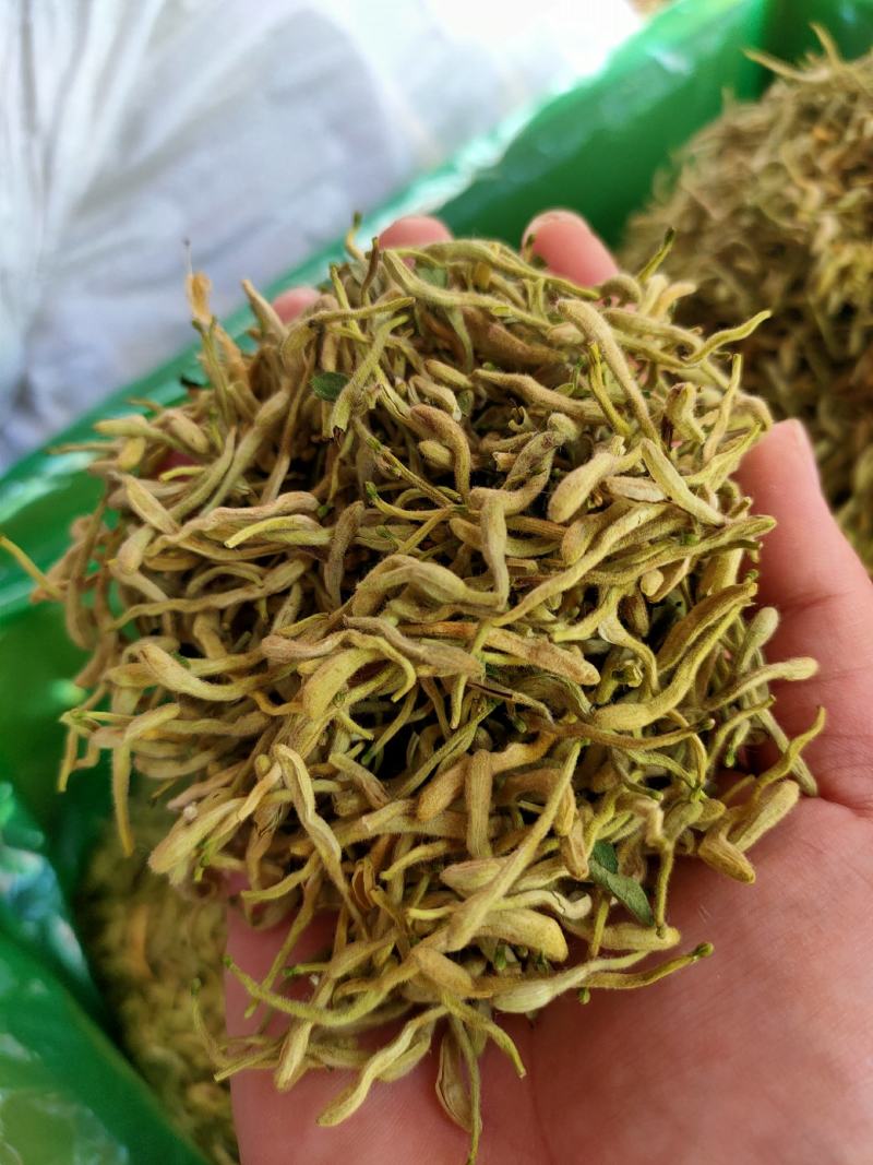 金银花头茬货新货产新产地直发大量供应