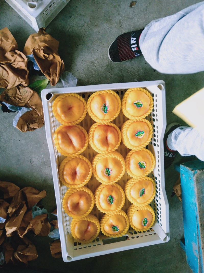 黄油蟠桃