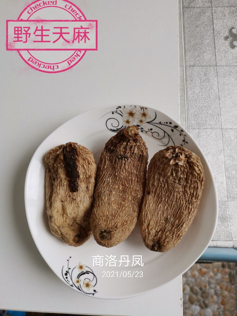 《产地热销》秦岭高山红苔*外天麻，农户自采自然晒干***