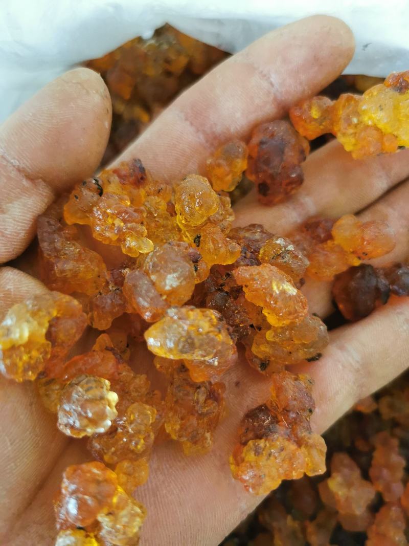 桃胶新货上市产地直销统货黄胶，红黄胶，红胶，红黑胶
