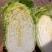 安丘金翡翠黄心白菜