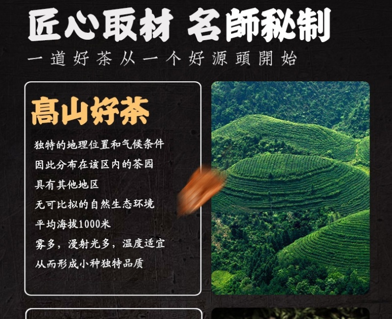 新茶正山小种红茶浓香型散袋装礼盒装茶叶