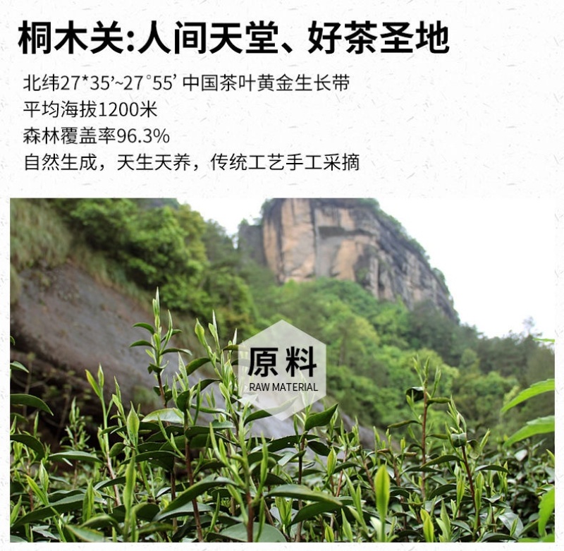 金骏眉红茶茶叶浓香型金俊眉新茶小袋盒装袋子颜色随机发货