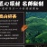 金骏眉红茶礼盒装小包装500克