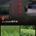 正山小种礼盒