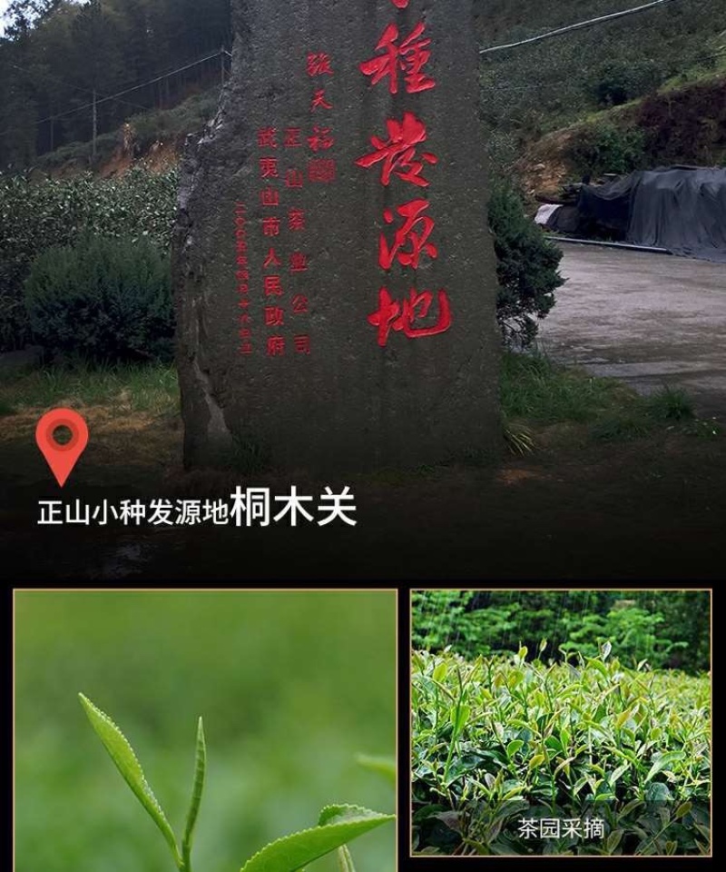 正山小种礼盒