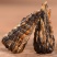 滇红红茶功夫红茶滇红宝塔银针金螺龙珠