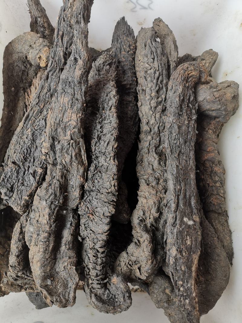肉苁蓉新疆大芸药食两用整条肉苁蓉规格齐全可供大货
