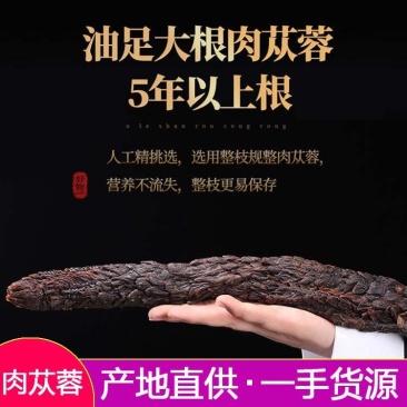 肉苁蓉新疆大芸药食两用整条肉苁蓉规格齐全可供大货