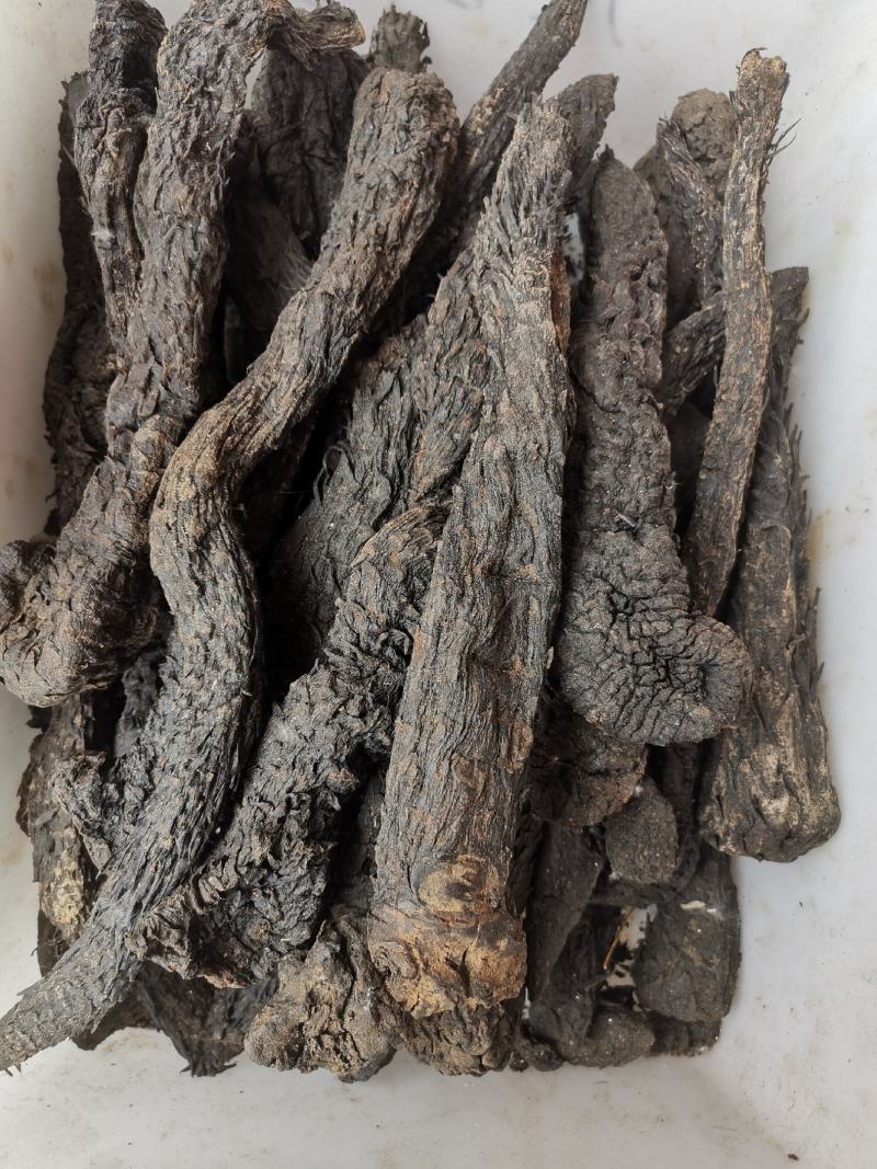 肉苁蓉新疆大芸药食两用整条肉苁蓉规格齐全可供大货