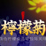柠檬红茶金丝皇菊水果茶云南古树滇红茶花果茶柠檬菊