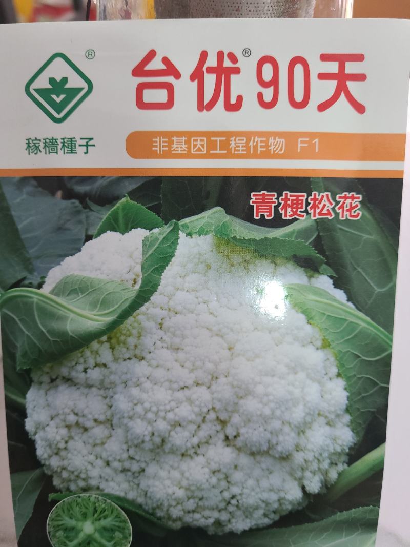 一代交配，台湾稼穑种子出品，台优松花菜种子