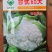 一代交配，台湾稼穑种子出品，台优松花菜种子