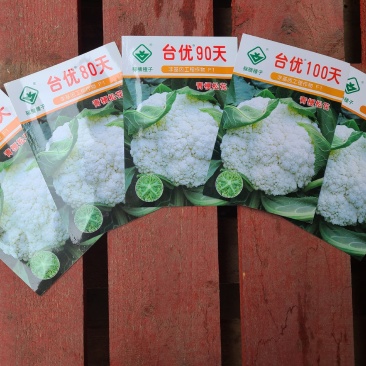 一代交配，台湾稼穑种子出品，台优松花菜种子