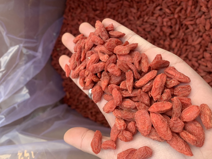 红枸杞包装与销售渠道展示