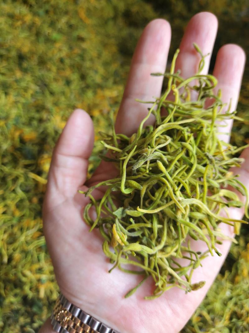 蒸汽杀青金银花，高含量金银花，山东产地一手货源。