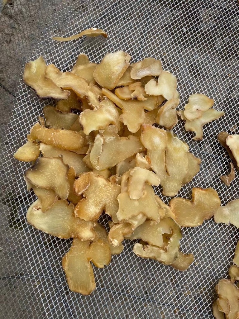 精选黄精片