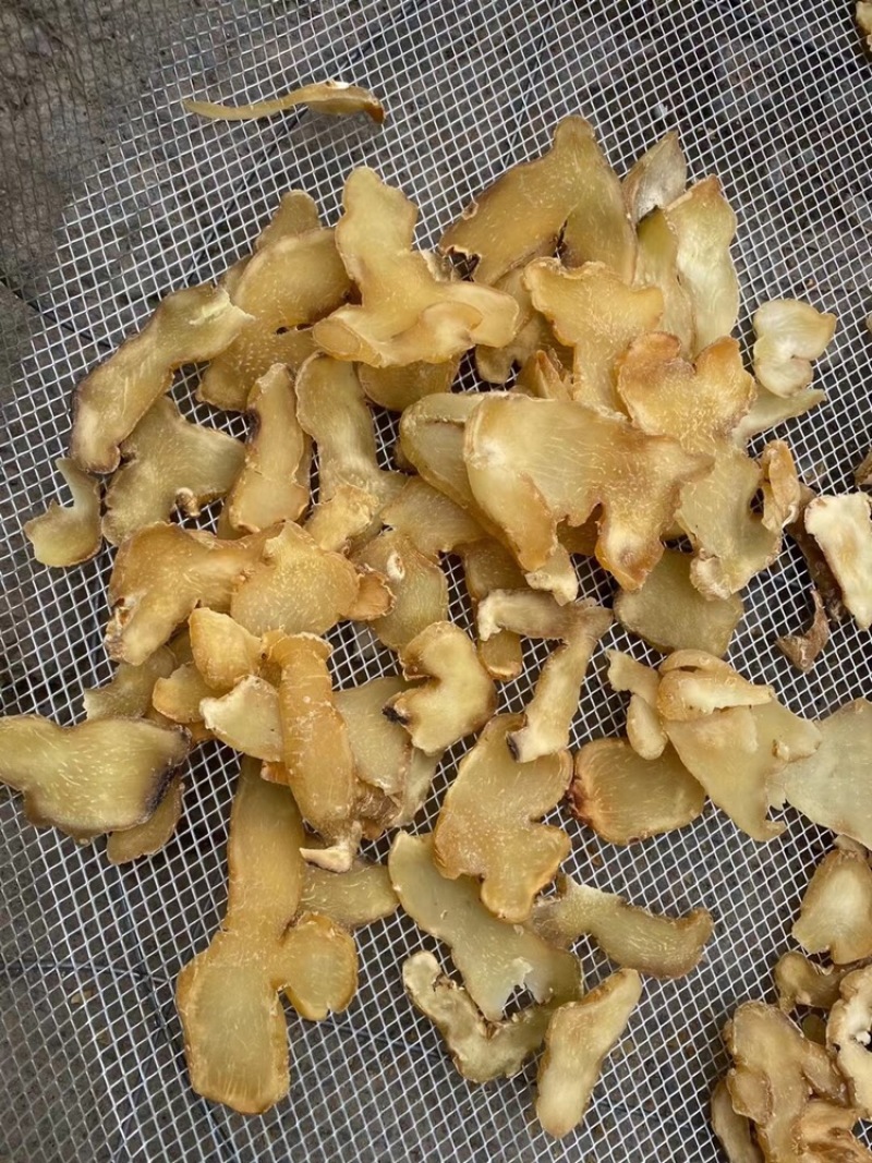 精选黄精片