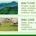 毛峰春茶绿茶铁罐装500克