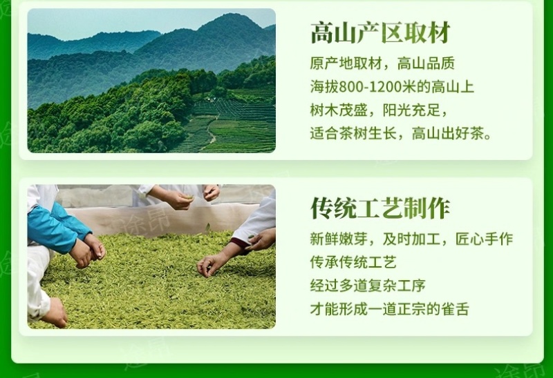 毛峰春茶绿茶铁罐装500克