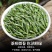 毛峰春茶绿茶铁罐装500克