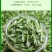 毛峰春茶绿茶铁罐装500克