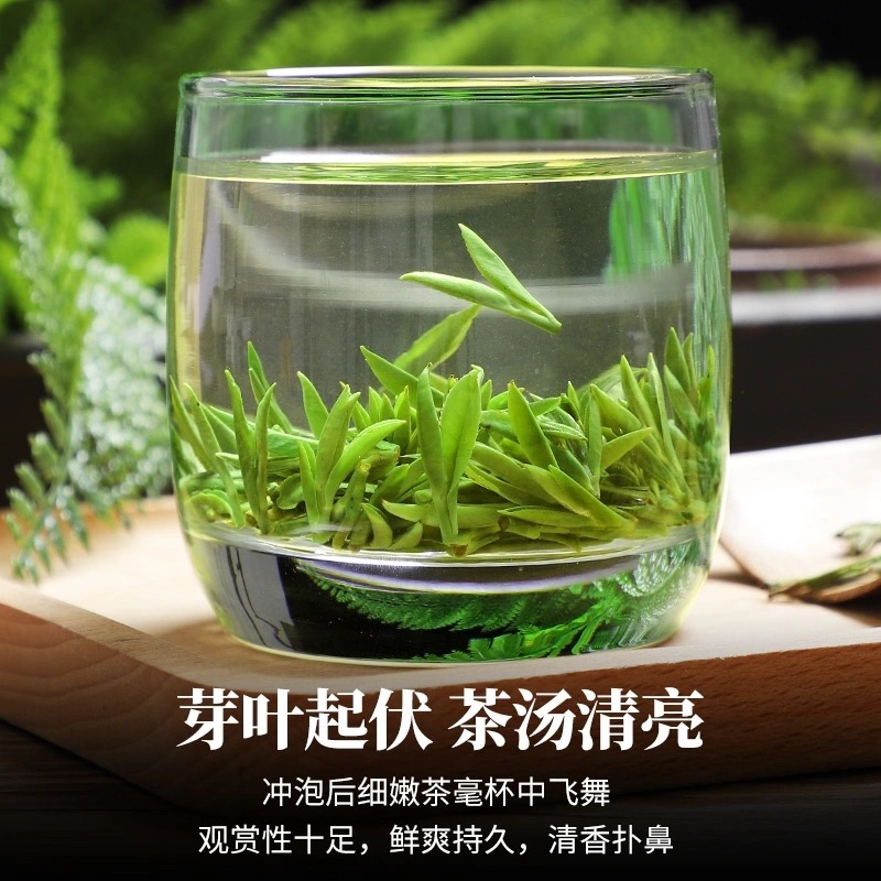 毛峰春茶绿茶铁罐装500克