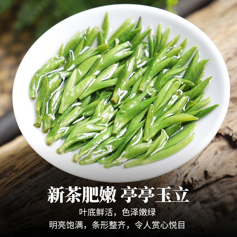 毛峰春茶绿茶铁罐装500克