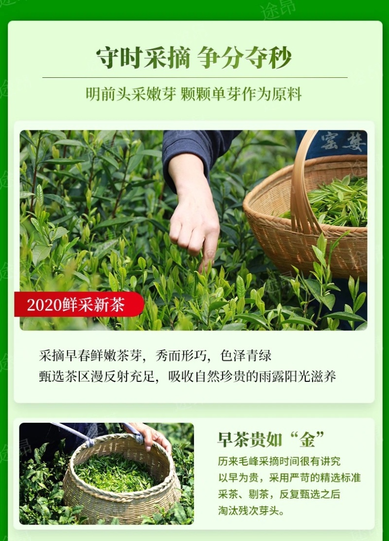 毛峰春茶绿茶铁罐装500克