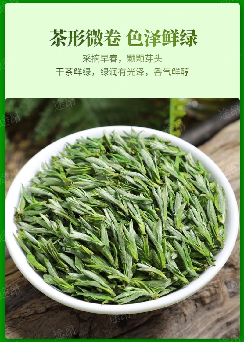毛峰春茶绿茶铁罐装500克